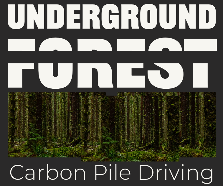 Underground Forest
